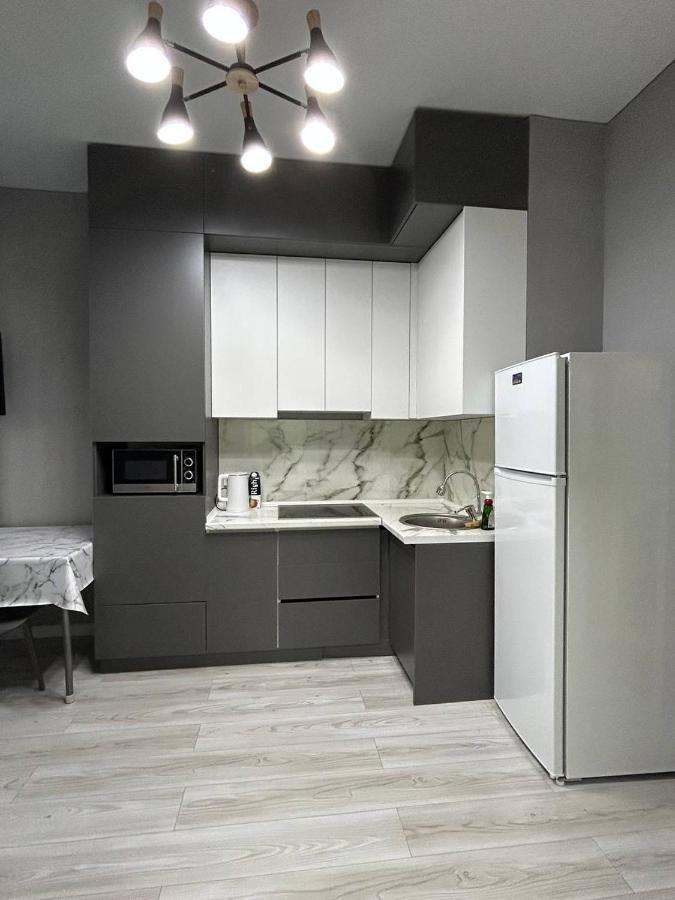 Nur-ay Na Shevchenko Apartment